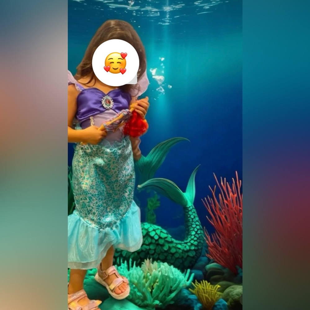 Beautiful Mermaid dress. Perfect condition. Size: 4T - 6T